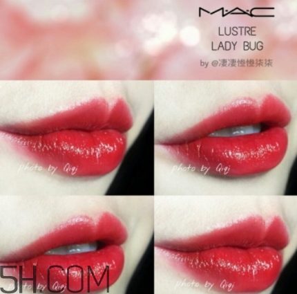 mac lady bug好看嗎？lady bug試色