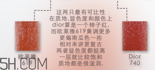 歐萊雅619和迪奧740像嗎？歐萊雅619秋葉和迪奧740對比