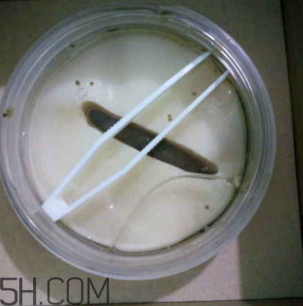 膜法世家金桂花眼膜怎么樣？膜法世家金桂花眼膜好用嗎？