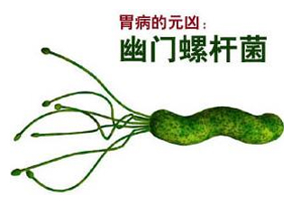 胃幽門螺旋菌陽性怎么辦？幽門螺桿菌能徹底治愈嗎