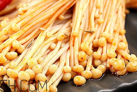 蘑菇的營養(yǎng)價(jià)值_蘑菇的功效與作用及食用方法
