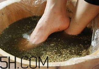 用什么泡腳比較好？艾葉泡腳還是紅花泡腳？
