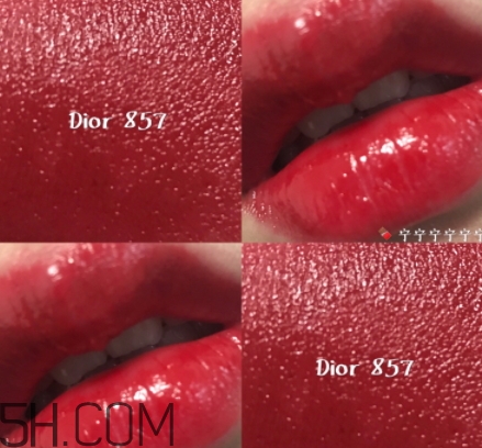 迪奧857和877哪個(gè)好看？迪奧857和877試色對(duì)比