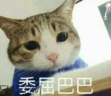 女人說失眠暗示什么？女生說失眠怎么回答