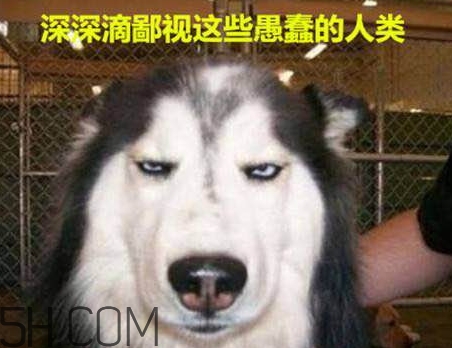 女生說我醉了什么意思？女生說喝多了怎么回復