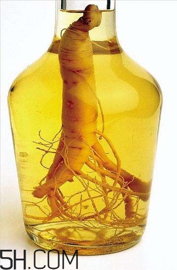 什么是藥酒？藥酒的功效是什么？