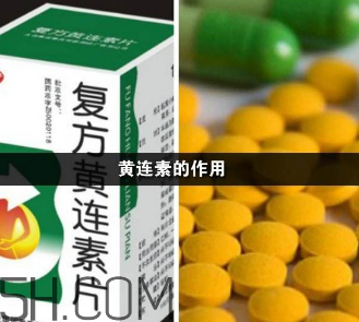 黃連素能降血糖嗎？黃連素能經(jīng)常吃嗎？