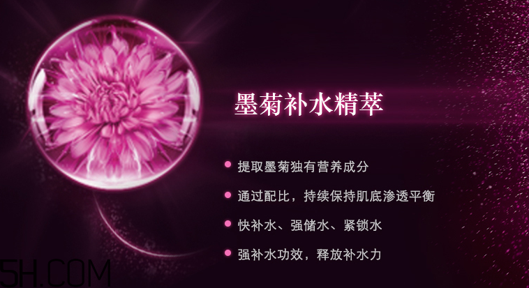 韓束墨菊深度滋潤(rùn)眼霜