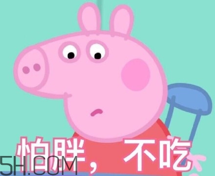 豬精女孩健康養(yǎng)生指南有哪些？豬精女孩健康養(yǎng)生指南是什么？
