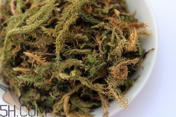 什么是伸筋草？伸筋草的功效與作用是什么？