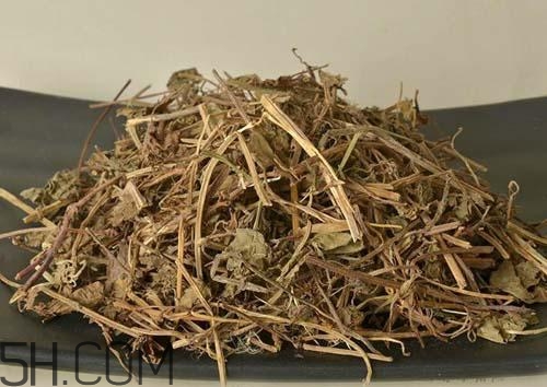 什么是透骨草？透骨草的功效與作用是什么？
