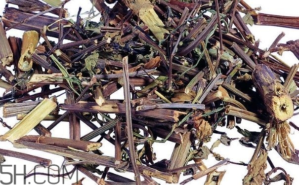 艾葉草洗澡有什么好處？怎么挑選艾葉草？