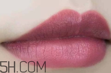 mac twig和brick o la一樣嗎？mac twig和brick o la試色對比