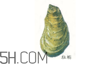 吃生蠔應(yīng)該注意哪些事項？生蠔與牡蠣的區(qū)別
