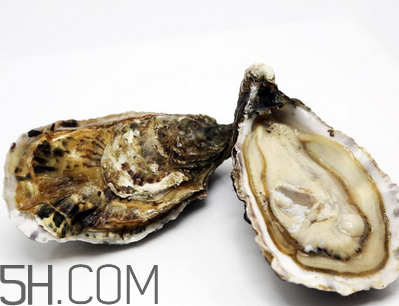 量吃生蠔有哪些好處？生蠔糖尿病人能吃嗎？