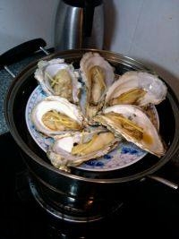 吃生蠔應(yīng)該注意哪些事項？生蠔與牡蠣的區(qū)別