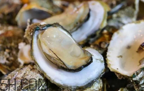 生蠔生吃好嗎？生蠔怎么吃最有營(yíng)養(yǎng)？