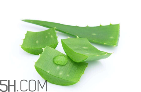 雅麗潔蘆薈膠怎么用？雅麗潔蘆薈膠使用方法