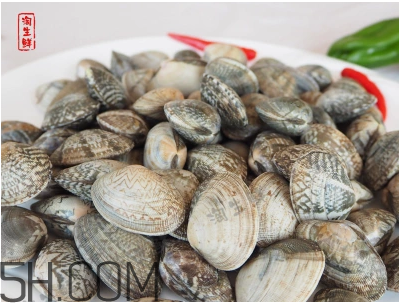 花甲可以冷凍嗎？養(yǎng)花甲鹽和水的比例是多少？