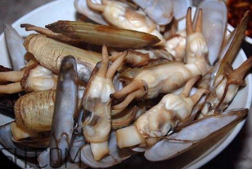 蟶子里面的黑色能吃嗎？蟶子為什么一撒鹽就出來(lái)？