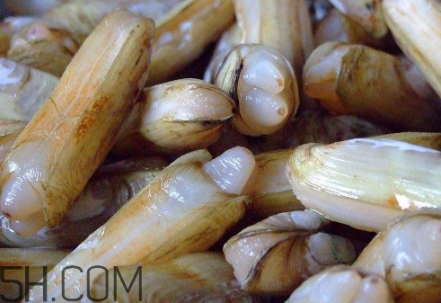 蟶子里面的黑色能吃嗎？蟶子為什么一撒鹽就出來(lái)？