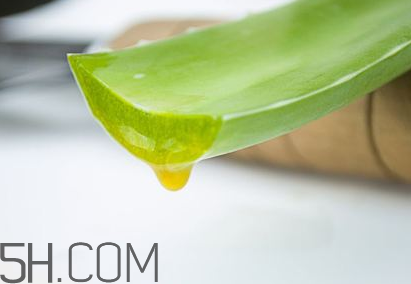 自然樂(lè)園蘆薈膠孕婦可以用嗎？自然樂(lè)園蘆薈膠使用心得