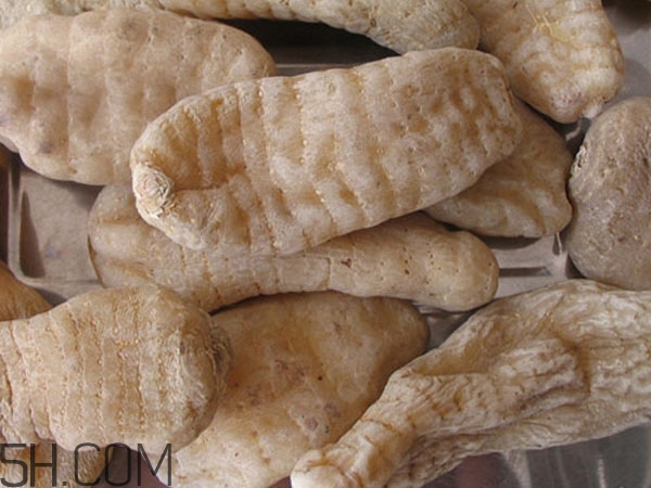 天麻能泡水喝嗎？吃天麻有什么作用？