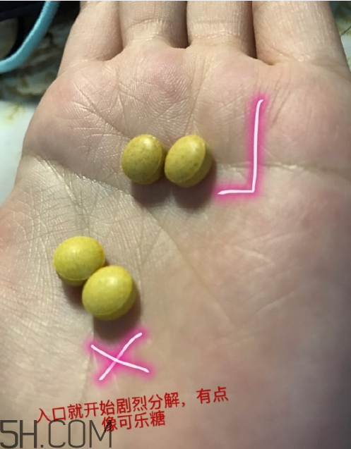 新谷酵素多少錢一盒？新谷酵素真假辨認(rèn)