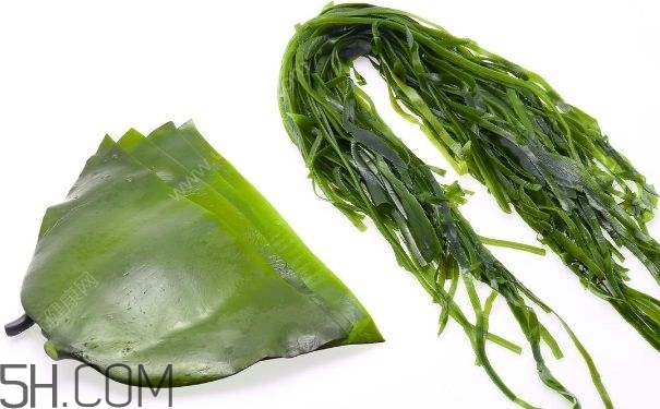海帶的做法有哪些？怎么挑選優(yōu)質(zhì)海帶？