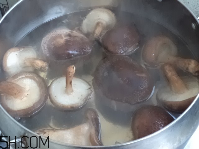 香菇和白蘿卜可以一起吃嗎？香菇和白蘿卜一起吃有什么好處？