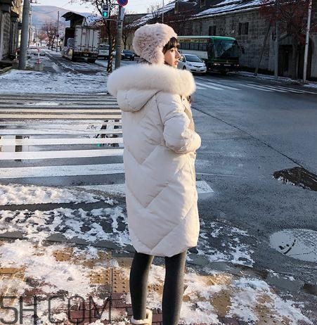 鵝絨羽絨服大概多少錢？白鵝絨羽絨服多少錢一件？