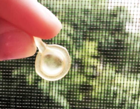 雅頓眼膠和面膠區(qū)別 雅頓眼膠和面膠可以一起用嗎？