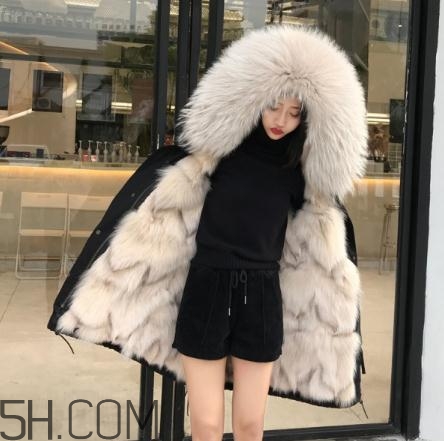 派克大衣內(nèi)膽什么毛好？派克服什么內(nèi)膽好？