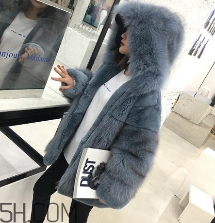獺兔毛皮草一千元貴嗎？獺兔毛皮草2018年價(jià)格