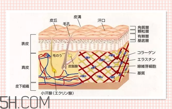 水光針可以祛斑嗎？涂抹式水光針的效果好嗎？
