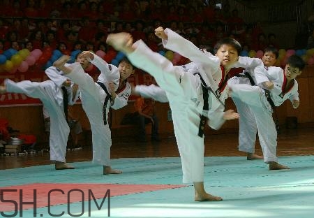 武術和跆拳道哪個對孩子好？武術和跆拳道的區(qū)別在哪里？