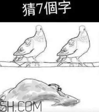 52422696代表什么意思？女生發(fā)52422696暗示什么