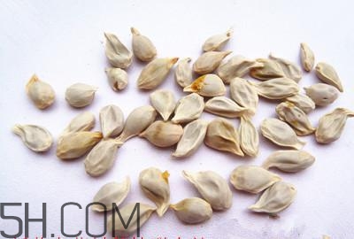 不小心吃了橘子籽怎么辦？橘子籽可以生吃嗎？