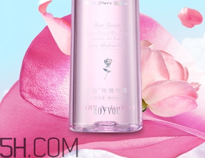 royvol萊茵是什么牌子？royvol萊茵是哪個國家的