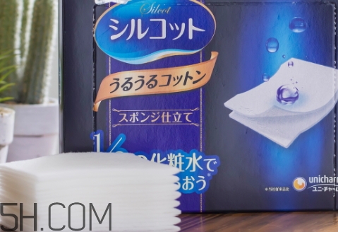 濕敷用化妝棉還是面膜紙？