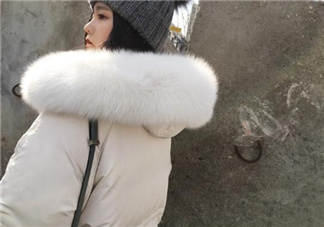 狐貍毛領會掉毛嗎？狐貍毛領掉毛怎么辦？