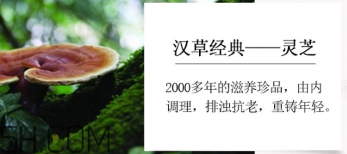 羽西小鮮瓶安瓶怎么用？羽西小鮮瓶安瓶怎么樣