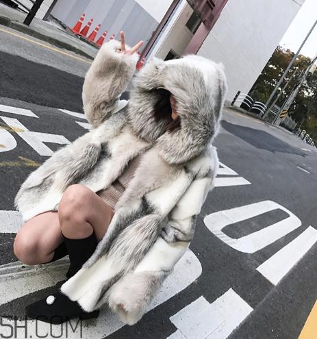 十字貂和水貂哪個(gè)好？十字貂和水貂哪個(gè)貴？