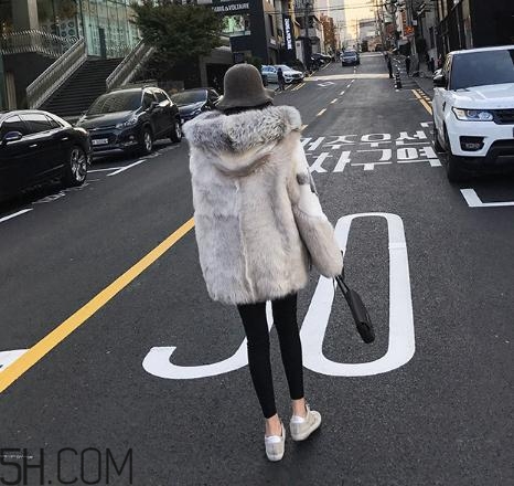 十字貂和水貂哪個(gè)好？十字貂和水貂哪個(gè)貴？