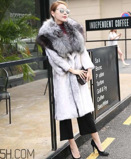 丹麥貂好還是美國貂好？丹麥貂和美國貂的區(qū)別