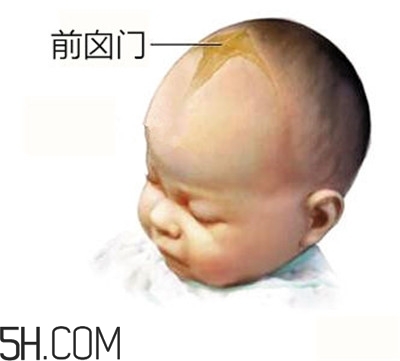 寶寶囟門是怎樣的一個(gè)部位？寶寶的囟門要怎樣保護(hù)比較好？