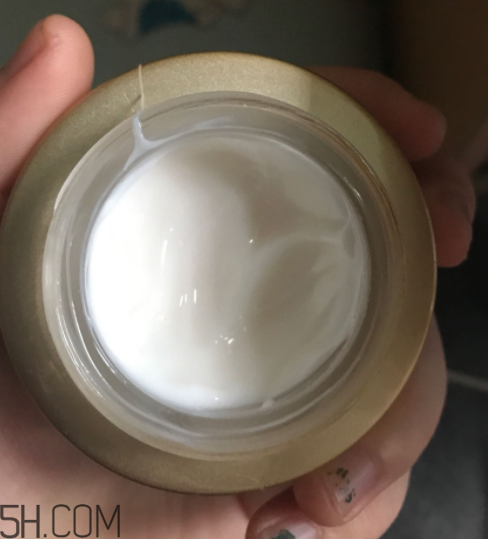 詩婷露雅蝸牛面霜適合秋冬嗎？適合油皮嗎？