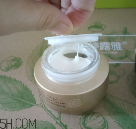 詩婷露雅蝸牛面霜適合秋冬嗎？適合油皮嗎？