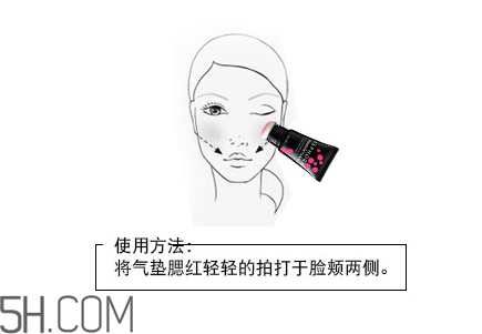 絲芙蘭柔光氣墊粉底液多少錢？絲芙蘭柔光氣墊腮紅多少錢？