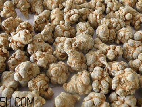 三七粉苦的好還是不苦的好？三七粉越苦越好嗎？